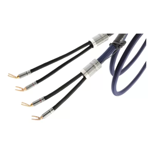 Câbles d'enceintes Atlas Cables Arran Transpose Speaker Grun