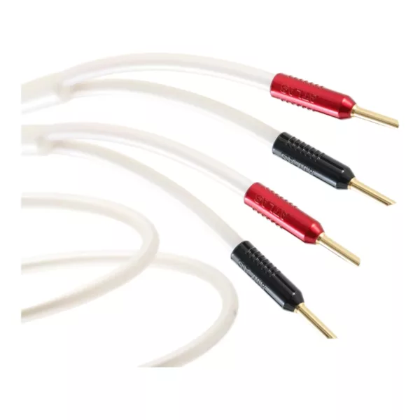 Câbles d'enceintes Atlas Cables Equator Achromatic Speaker Z 2.0