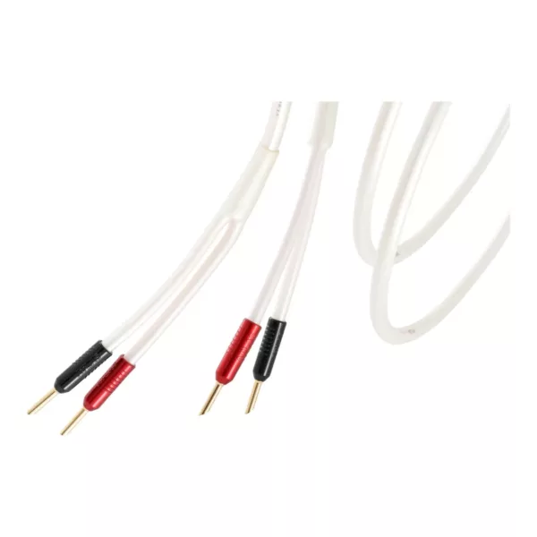 Câbles d'enceintes Atlas Cables Equator Achromatic Speaker Z 3.5