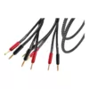 Câbles d'enceintes Atlas Cables Hyper Achromatic Bi-wire 2-4 Speaker Z