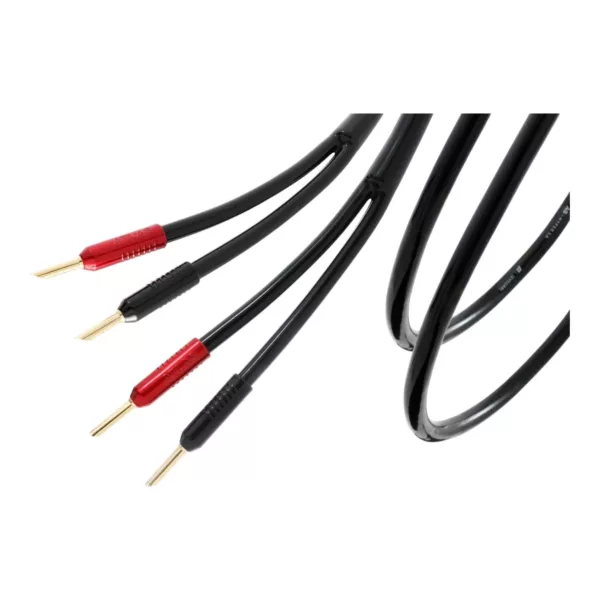 Câbles d'enceintes Atlas Cables Hyper Achromatic Speaker Z 5.0